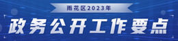 2023年雨花区政务公开工作要点